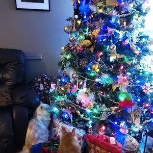 Meet your Posher, Judith